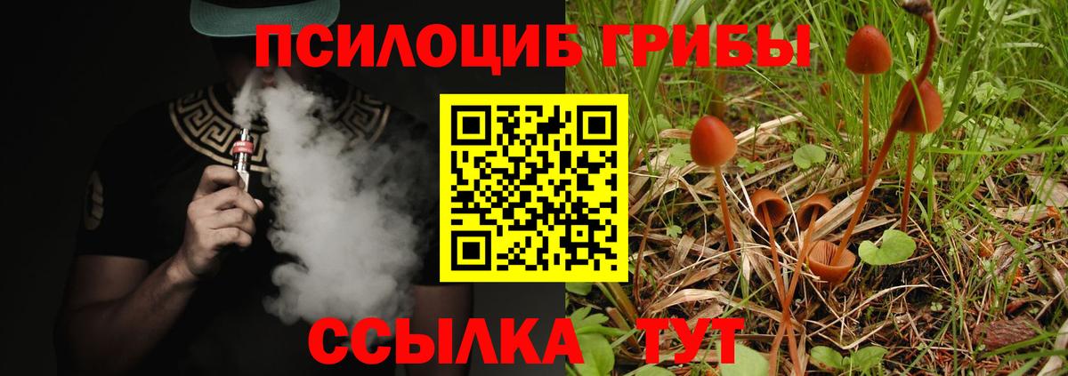 Галлюциногенные грибы Cubensis  Псилоцибиновые грибы мухоморы  Тюмень  Вход с VPN 